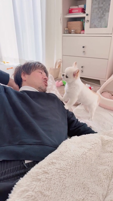 しゃべるワンコ