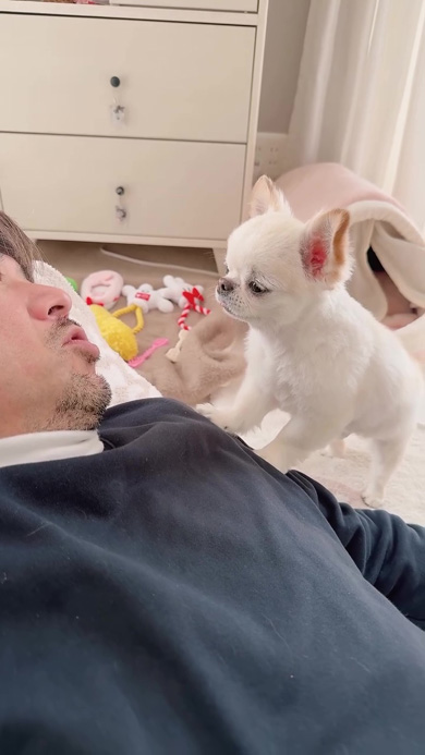 パパと会話するワンコ