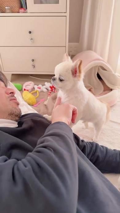 粘り勝ちするワンコ