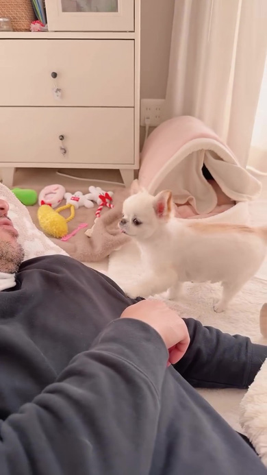 おやつに喜ぶワンコ