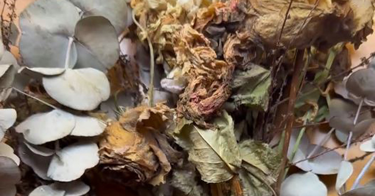 プロポーズでもらった花束→カビだらけの酷い状態に……　プロの手で驚きの大変身「さすが！」「とっても感動しました」（1/3） | ライフスタイル ねとらぼ