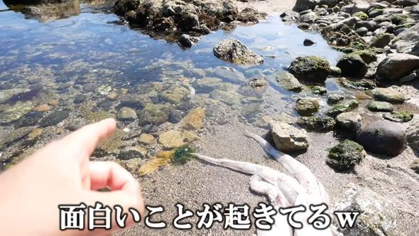 面白い光景を目撃した投稿者