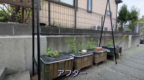 ぼっち主婦が本気で庭DIY