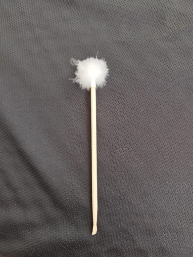 タンポポを手に持つ5歳の男の子