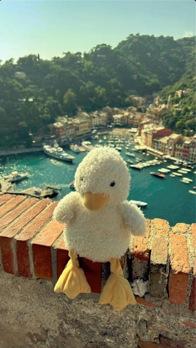 湖を見下ろすぬいぐるみ