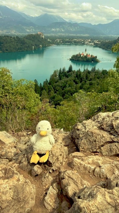 港町をバックに置かれたぬいぐるみ