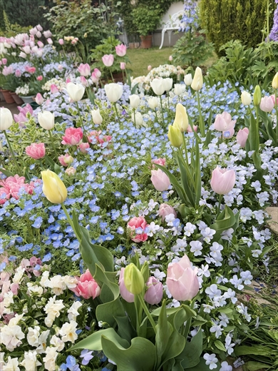 たった30分で見え方が変化する庭