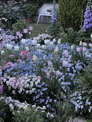 たった30分で見え方が変化する庭