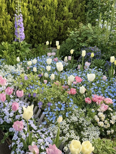 たった30分で見え方が変化する庭