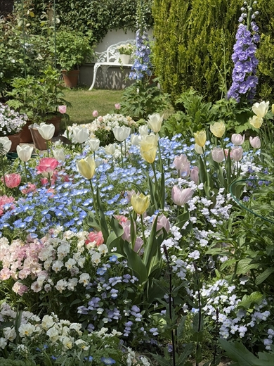 たった30分で見え方が変化する庭