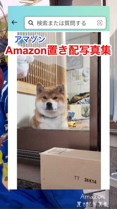 Amazon置き配写真集