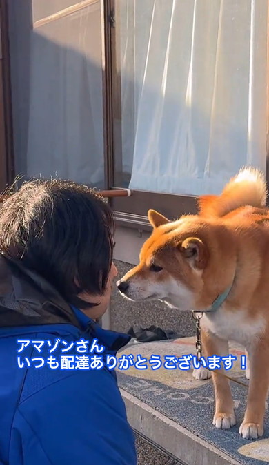 Amazon置き配写真集