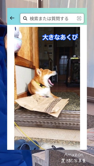 Amazon置き配写真集