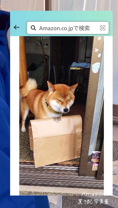 Amazon置き配写真集