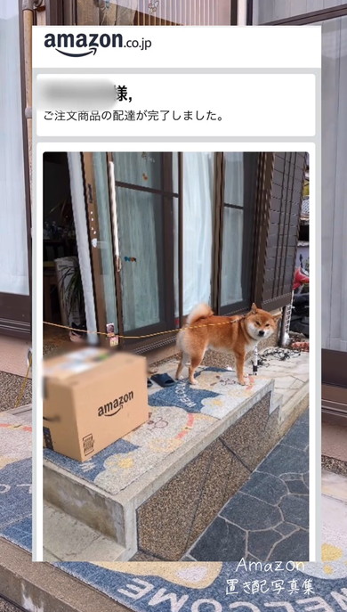Amazon置き配写真集
