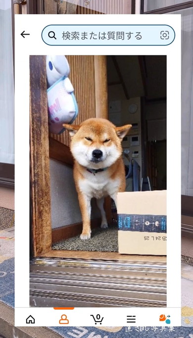 Amazon置き配写真集