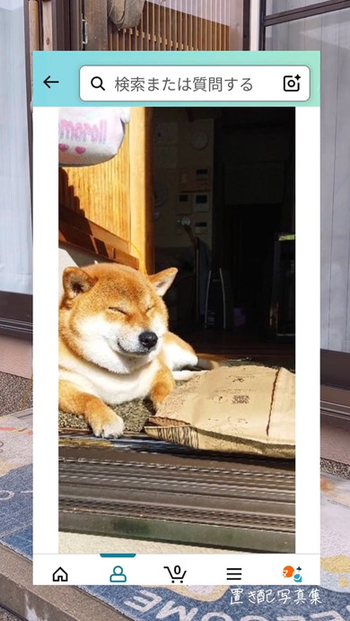 Amazon置き配写真集