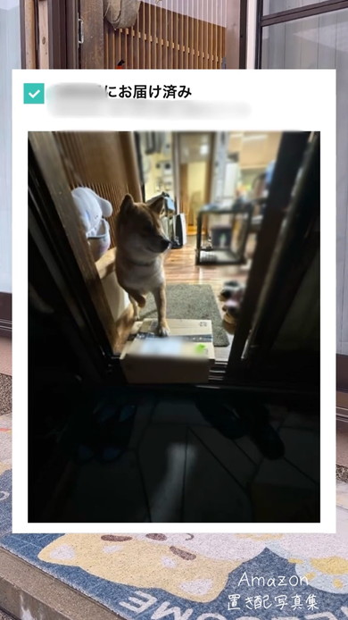 Amazon置き配写真集