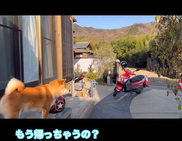 Amazon置き配写真集