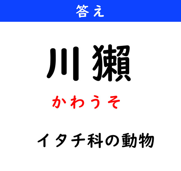 漢字クイズ　難読漢字　川獺