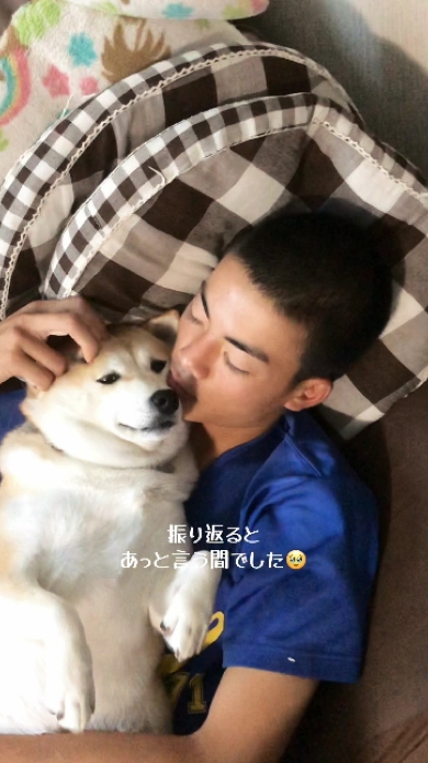 柴犬のゆずちゃんとお兄ちゃんの9年