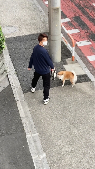 柴犬のゆずちゃんとお兄ちゃんの9年