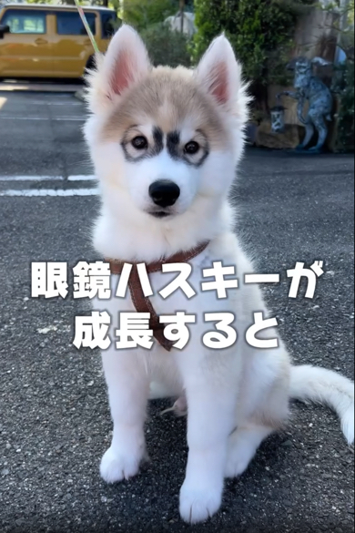 おすすめ