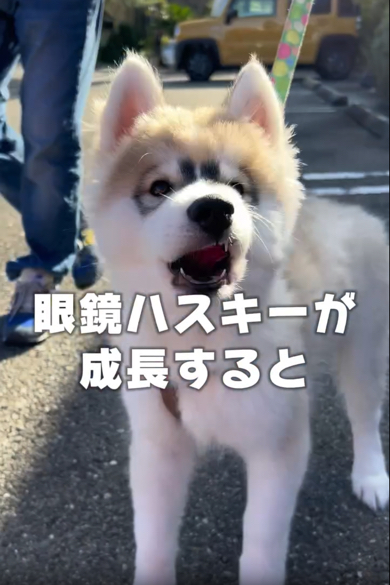 まだまだ遊び盛りの男の子