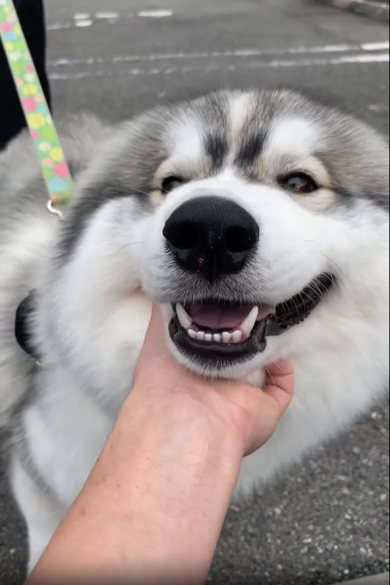 目元からメガネ模様が消えています