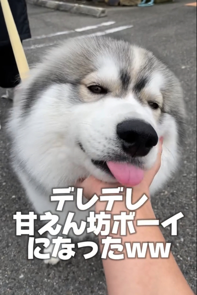 ニコニコ幸せそうな表情です