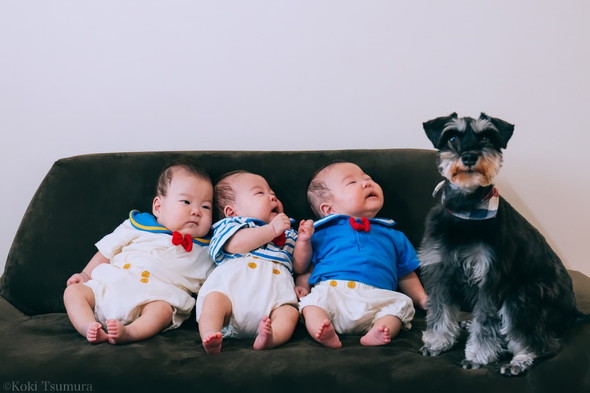 お宮参りの三つ子ちゃんとワンコの写真
