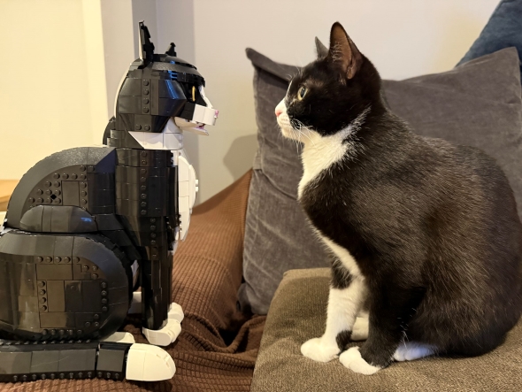 愛猫とそっくりなレゴ