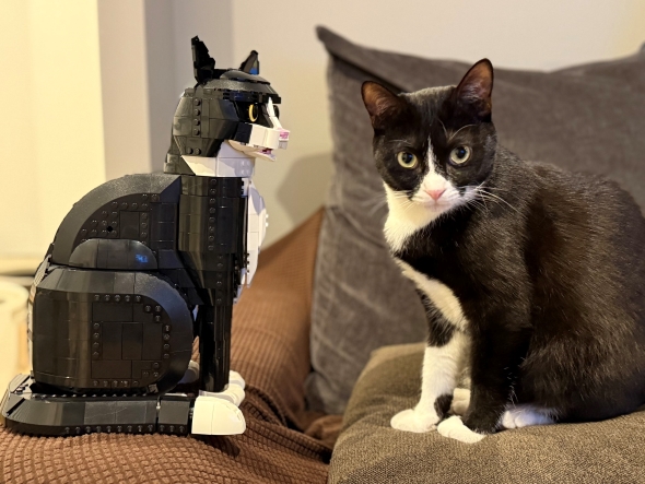 愛猫とそっくりなレゴ