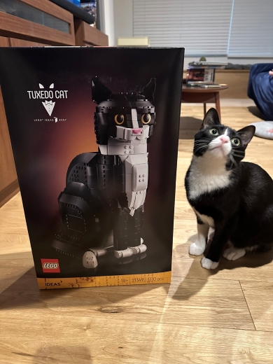 愛猫とそっくりなレゴ