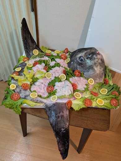マンボウ　8/23まで取り置き スーパーで購入したマンボウ、家に連れて帰ると→「お前だけは許