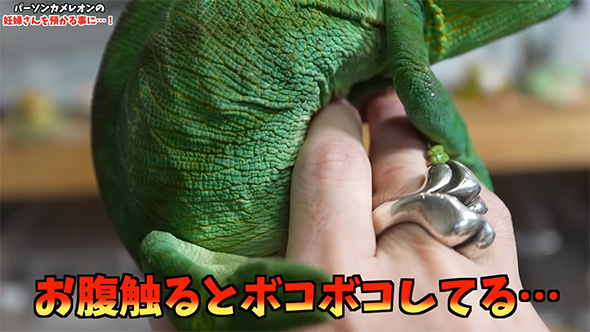 ぼこぼこしてる