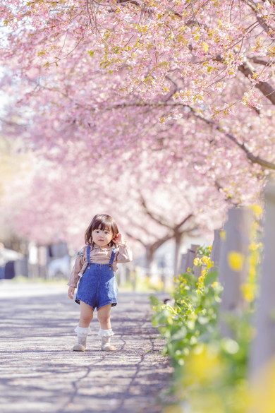 桜を背景にした2歳の女の子