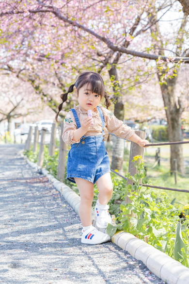 桜を背景にした3歳の女の子