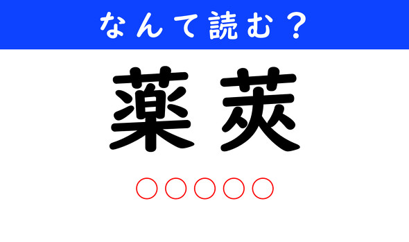 漢字クイズ　難読漢字　薬莢