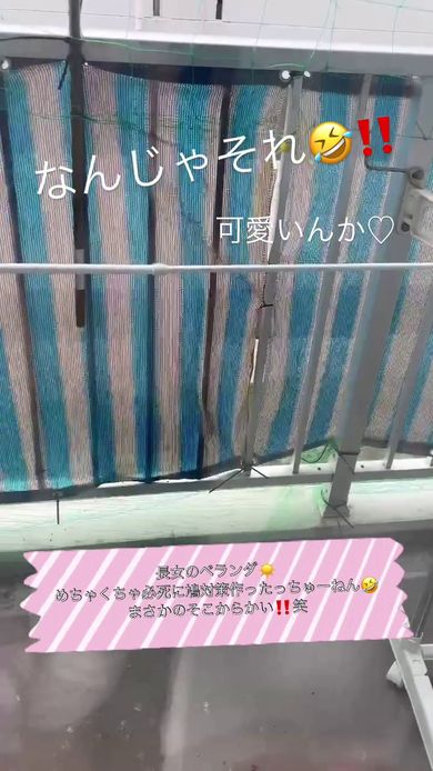 防鳥ネットが張ってあるベランダ