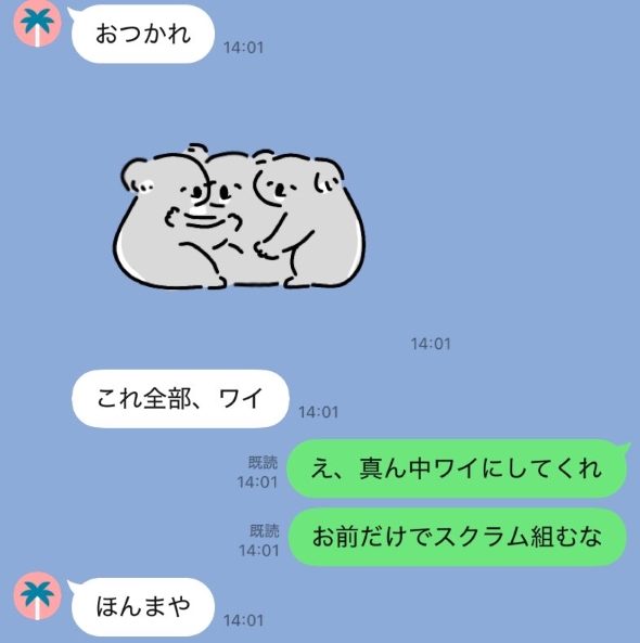 スクラムを組む3匹のコアラ