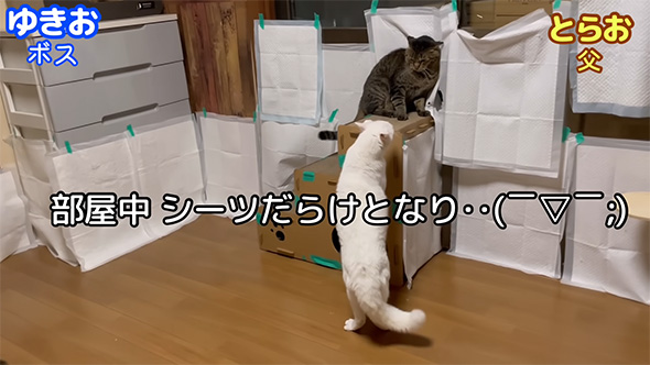 部屋中シーツだらけ