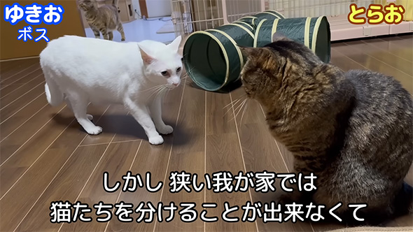 狭い我が家では