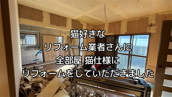 猫好きなリフォーム業者