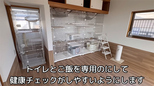 トイレとごはんを