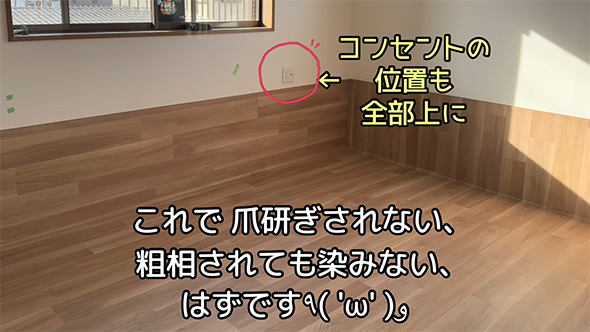 これで爪とぎされない