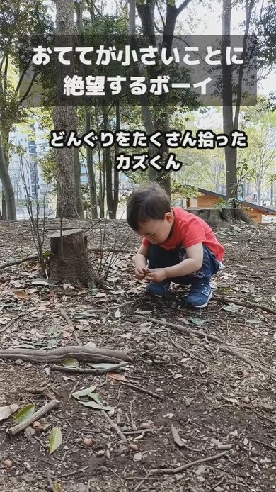 どんぐりを拾っている男の子
