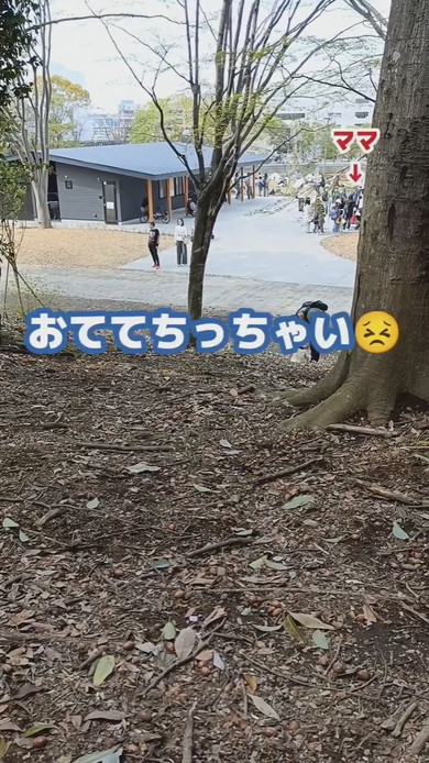 多摩中央公園