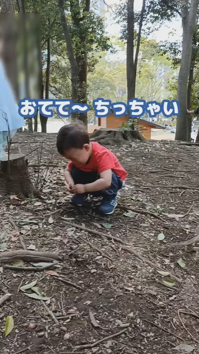 どんぐりを拾っている男の子