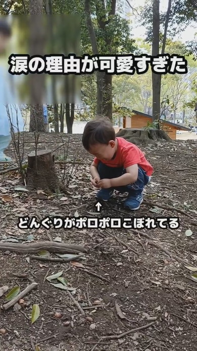 どんぐりを拾っている男の子